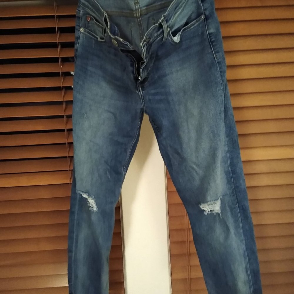 Hudson Cropped Ankle Jean Size 10 30 EUC